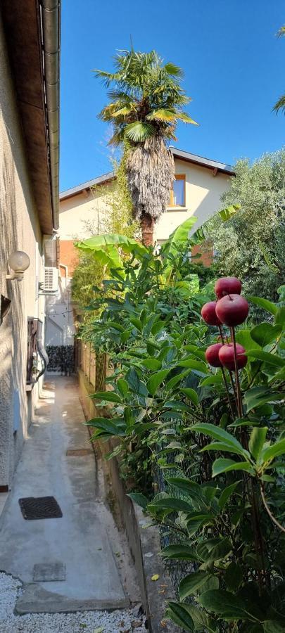 Studio Simone - Terrasse Et Jardin - Tv - Wifi Toulouse Kültér fotó