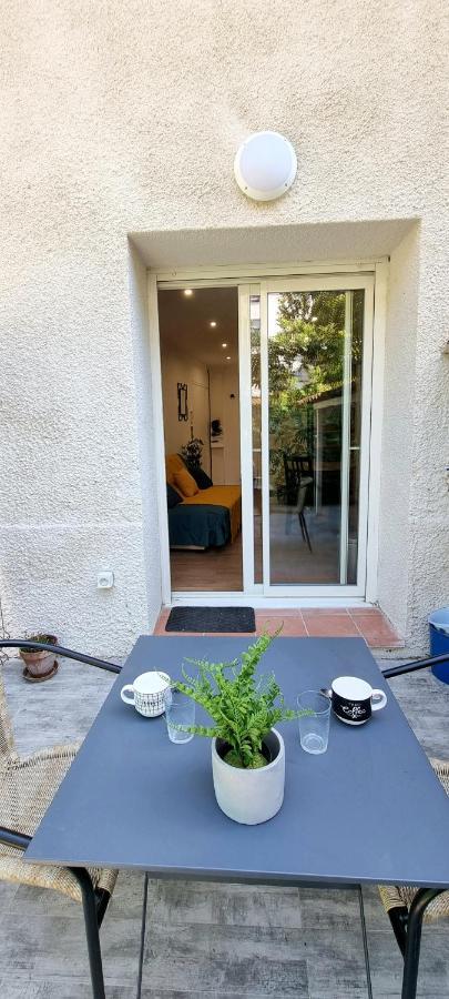 Studio Simone - Terrasse Et Jardin - Tv - Wifi Toulouse Kültér fotó