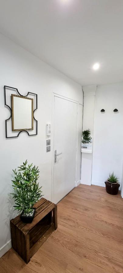 Studio Simone - Terrasse Et Jardin - Tv - Wifi Toulouse Kültér fotó