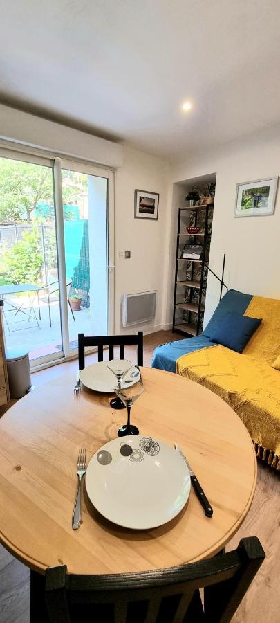 Studio Simone - Terrasse Et Jardin - Tv - Wifi Toulouse Kültér fotó