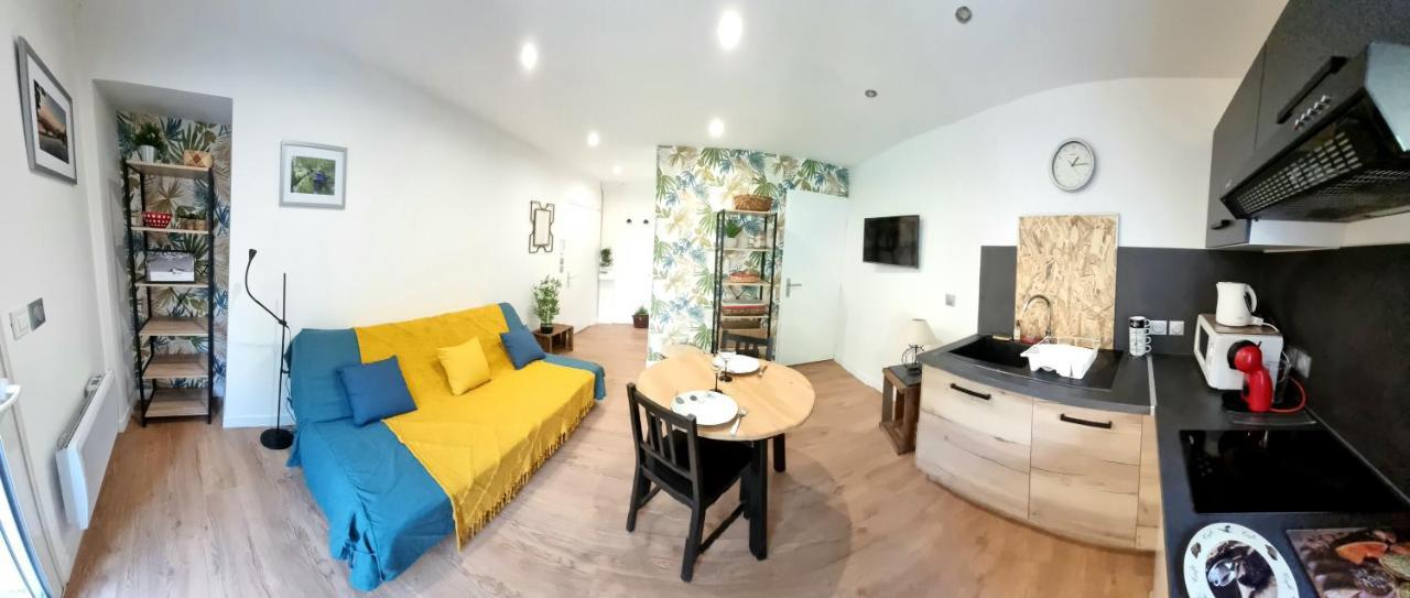 Studio Simone - Terrasse Et Jardin - Tv - Wifi Toulouse Kültér fotó